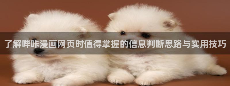 免费看漫画在线:了解哔咔漫画网页时值得掌握的信息判断思路与实用技巧